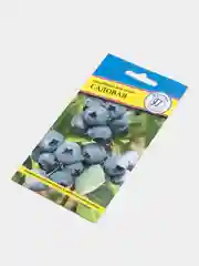 Семена Голубика "Садовая"
