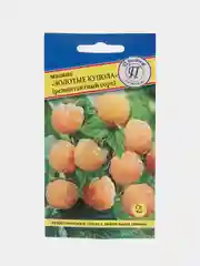 Семена Малина "Золотые купола"