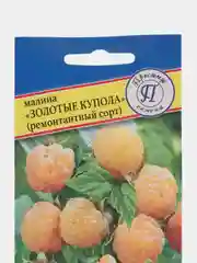 Семена Малина "Золотые купола"