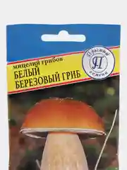 Семена мицелий грибов "Белый гриб березовый"