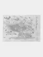 Белый набор для творчества 18x22 см. Вышивание крестиком. Вышивка. Набор для вышивания лиса