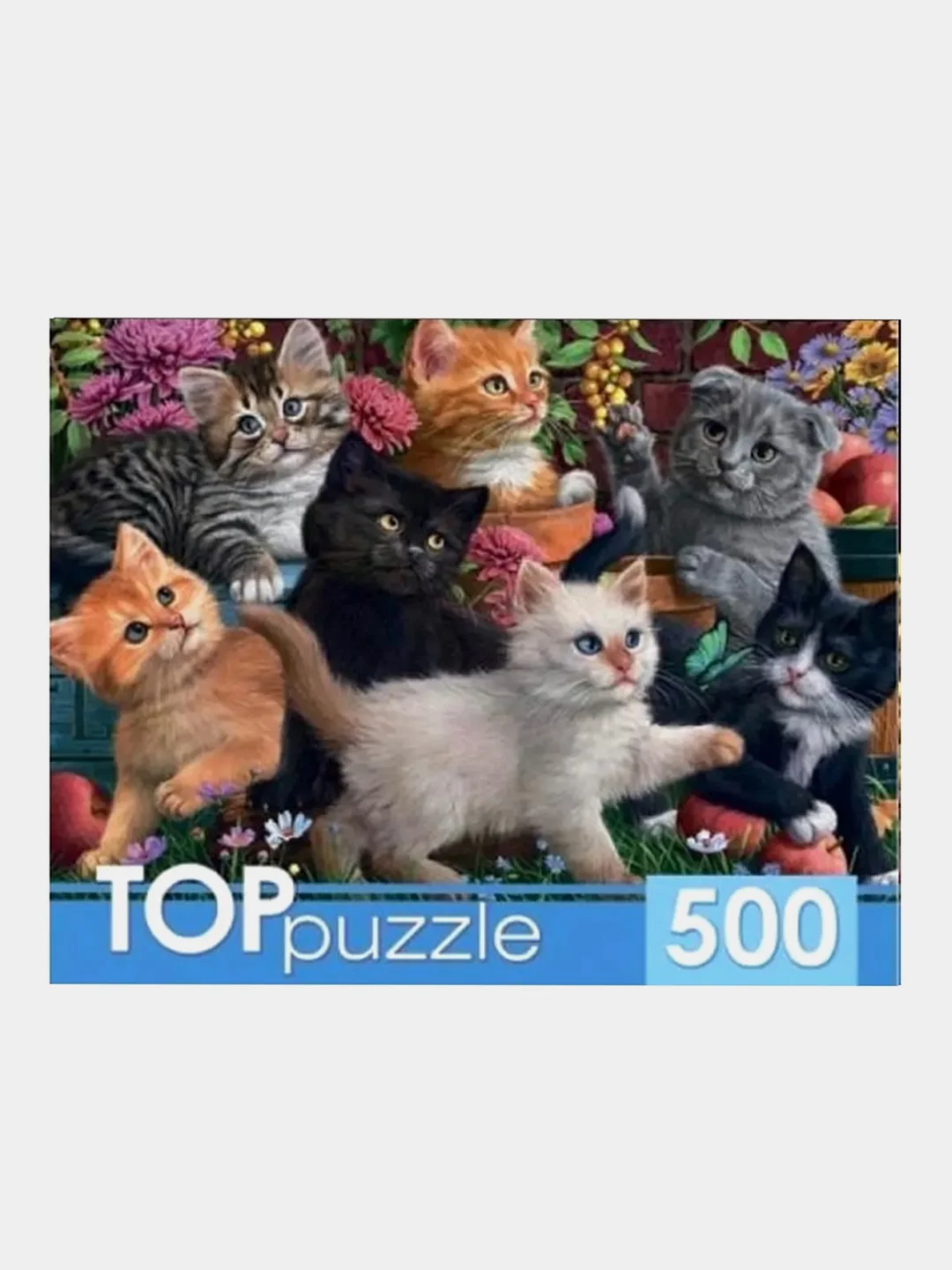Мятный пазлы, 500 элементов