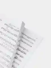 Школа игры на блокфлейте, Пушечников И.
