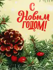 Лесной зеленый пакет подарочный/Мягкий пластик/Оригинальный,прочный пакет на каждый день