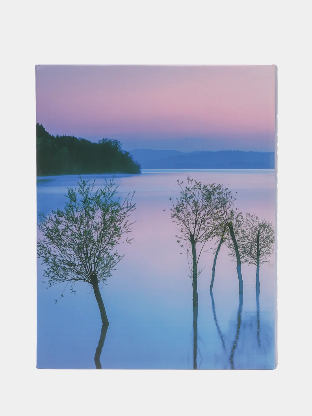 Лавандовый фотоальбом 200 фото