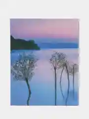 Лавандовый фотоальбом 200 фото