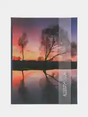 Медный фотоальбом 200 фото