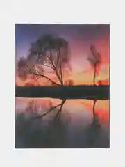 Медный фотоальбом 200 фото