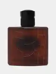 Туалетная вода Best Version Tobacco, мужская, 90 мл