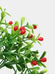 Красный декор 6