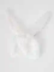 Белый ушки зайчика