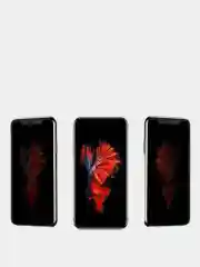 Черный защитное стекло-антишпион iPhone XR, 11