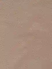 Бежевый ткань флис, 50*50, разные цвета