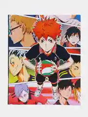 Золотой тетрадь в клетку аниме, Haikyuu Волейбол, 48 листов