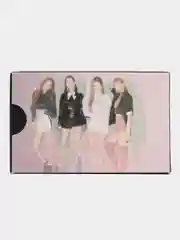 Бордовый карточки K-POP "BLACKPINK", 30 штук
