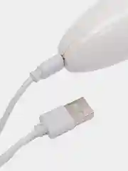 Вакуумный очиститель пор