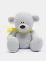 Ледяной мишка тедди