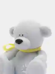 Ледяной мишка тедди