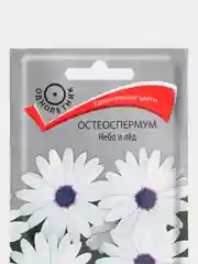 Семена Остеоспермум "Небо и лёд"