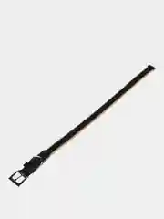 Бежевый ошейник для собак и кошек мелких и средних пород, NUNBELL, комбинированный, 47 х 2 см