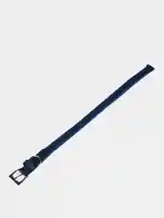 Бежевый ошейник для собак и кошек мелких и средних пород, NUNBELL, комбинированный, 47 х 2 см