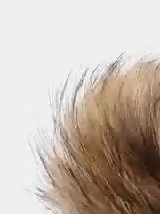 Помпоны меховые натуральные