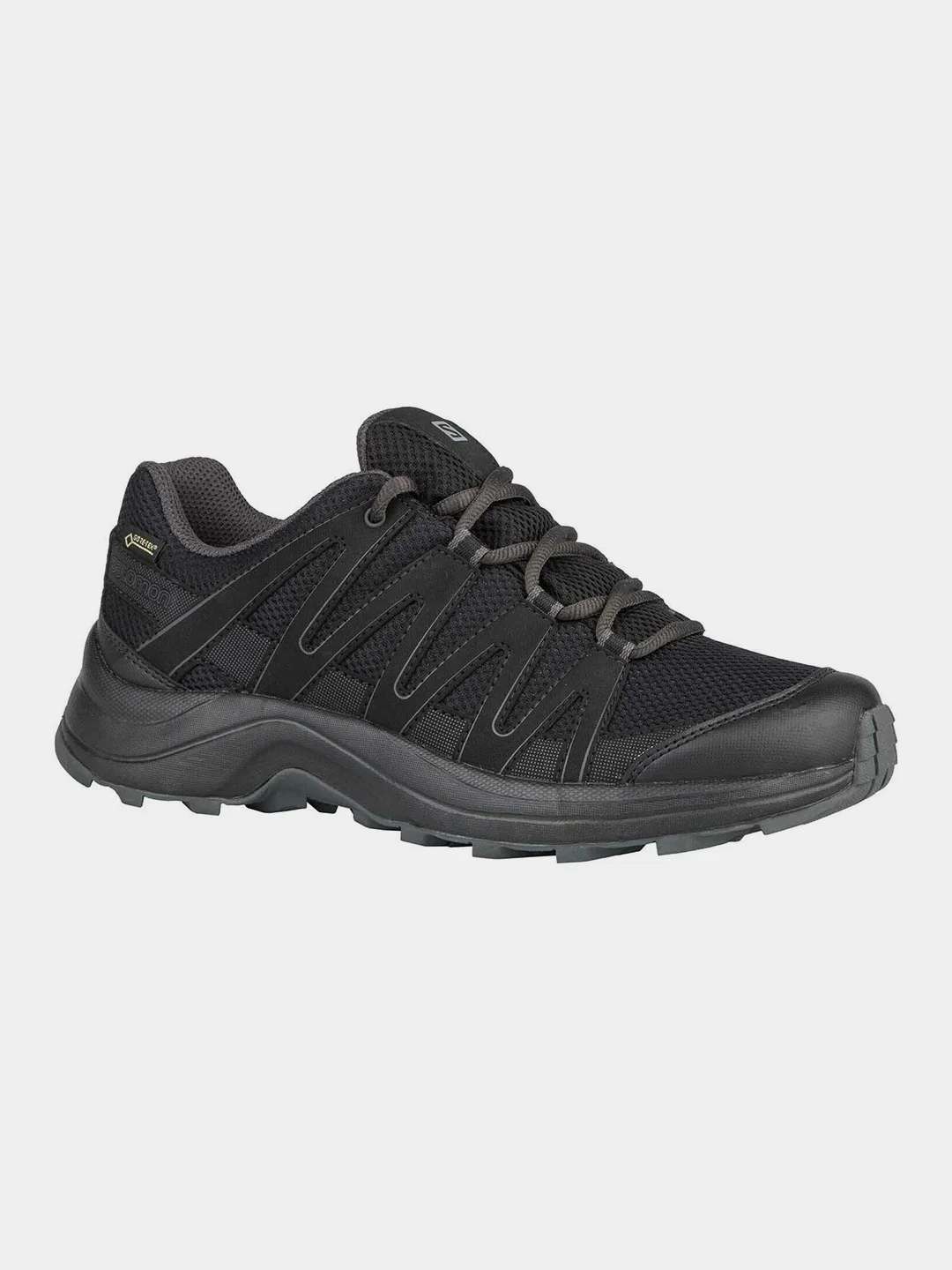Кроссовки женские Salomon XA TICAO GTX W Black/Black/Mag