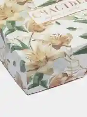 Манго коробка подарочная новогодняя