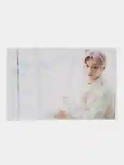 Бронзовый наклейка на банковскую карту stray kids