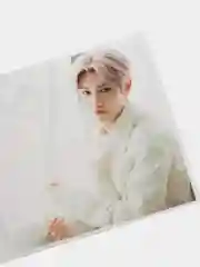 Бронзовый наклейка на банковскую карту stray kids