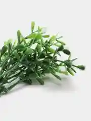 Белый декор 6
