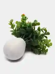 Манго декор 6