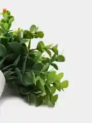 Манго декор 6