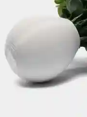 Манго декор 6