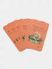 Кораллово-розовый 10 шт. Бирки для подарков  на 23 февраля. День Защитника Отечества
