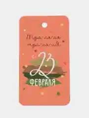 Кораллово-розовый 10 шт. Бирки для подарков  на 23 февраля. День Защитника Отечества