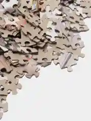 Кораллово-розовый пазлы 1000 элементов