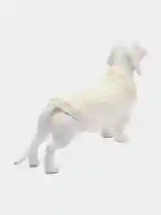 Белый вязанный свитер для собак