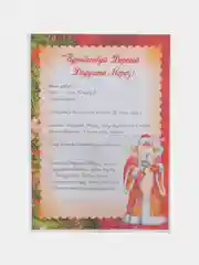 Красный письмо новогоднее "Деду Морозу" формат А4 с конвертом,разные варианты