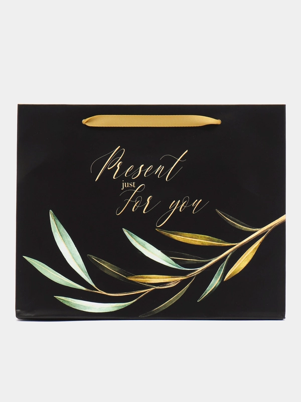 Пакет подарочный "Present just for you", 22 х 17.5 х 8 см