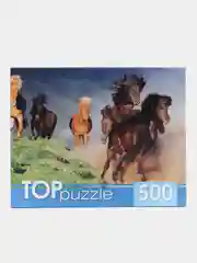 Горчичный пазлы, 500 элементов