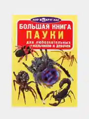 Большая книга "Пауки". Загадочный мир насекомых. Для девочек и мальчиков от 6 лет.Завязкин