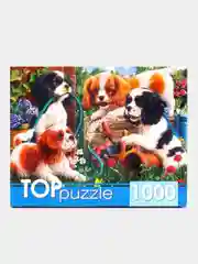 Ледяной пазлы 1000 элементов