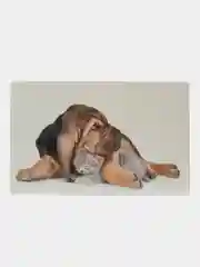 Белый фотоальбом на 36 фото