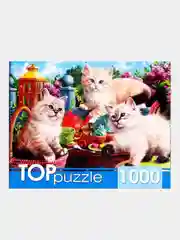 Оранжевый пазлы 1000 элементов