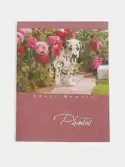 Пурпурный фотоальбом на 36 фото