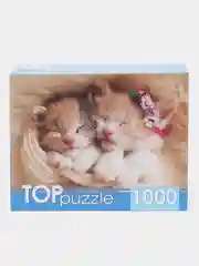 Терракотовый пазлы 1000 элементов