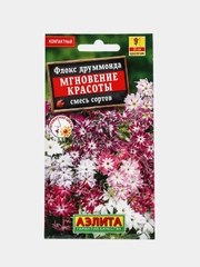 Флокс Мгновение красоты, семена, цветы