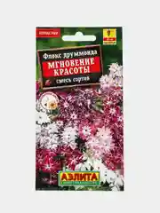 Флокс Мгновение красоты, семена, цветы