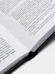 ЧИТАЙ-УММА / Книга "Вабиль. Благодатный дождь"